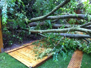 Tree crashed into my yard!